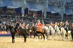 Cavalry - 00294